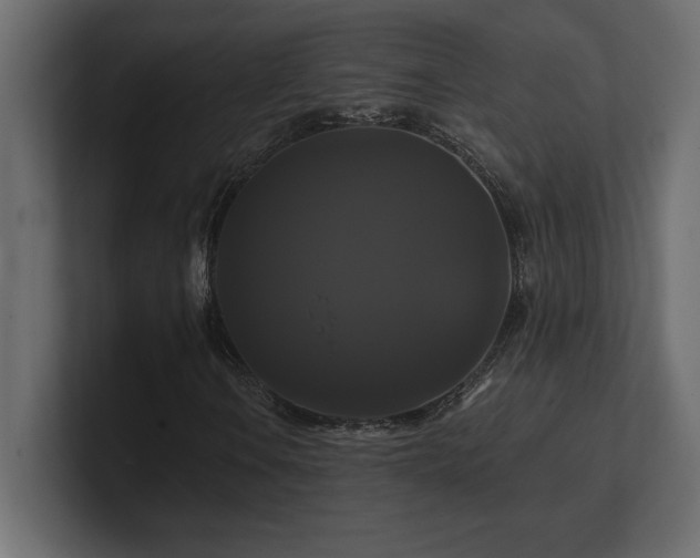 X0000100921106200806241338