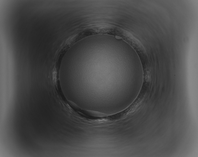 X0000100921108200806241338