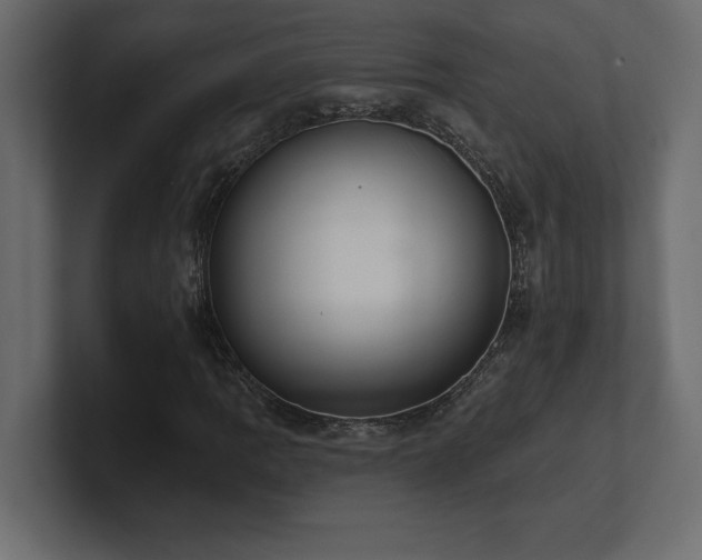 X0000100921109200806241338