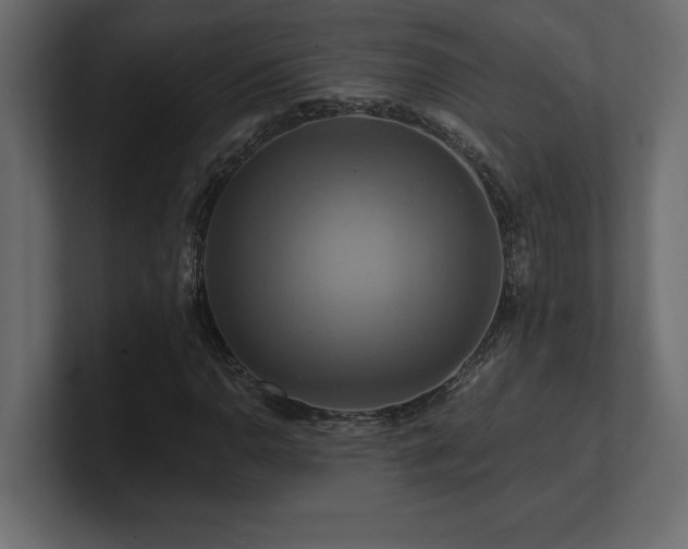 X0000100921110200806241338
