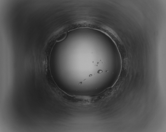X0000100921111200806241338