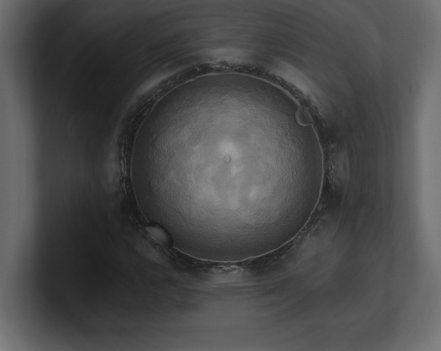 X0000100921112200806241338