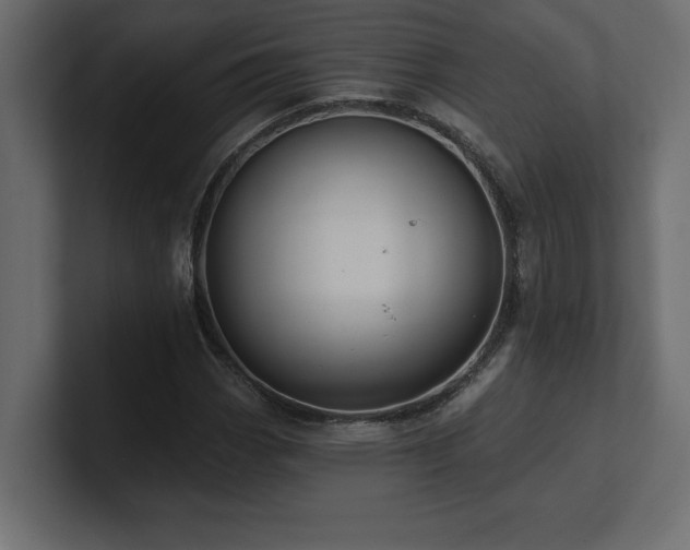 X0000100921113200806241338