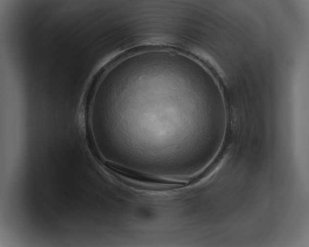 X0000100921114200806241338