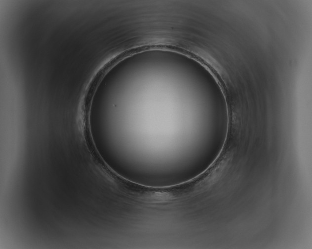 X0000100921119200806241338