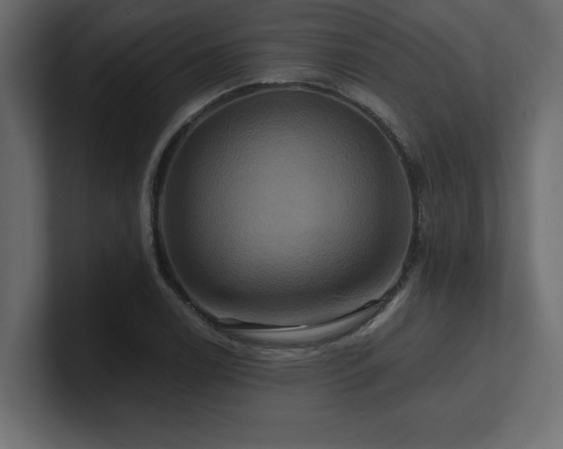 X0000100921122200806241338