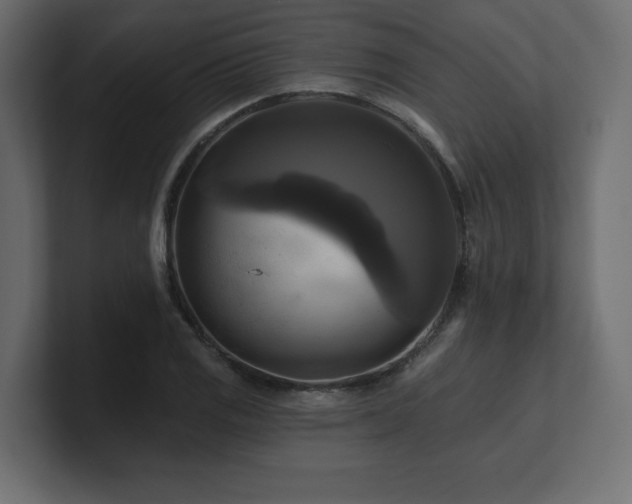 X0000100921125200806241339