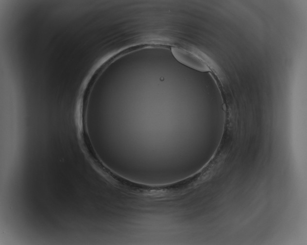 X0000100921128200806241339