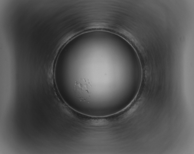 X0000100921129200806241339