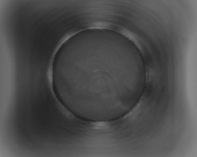X0000100921130200806241339