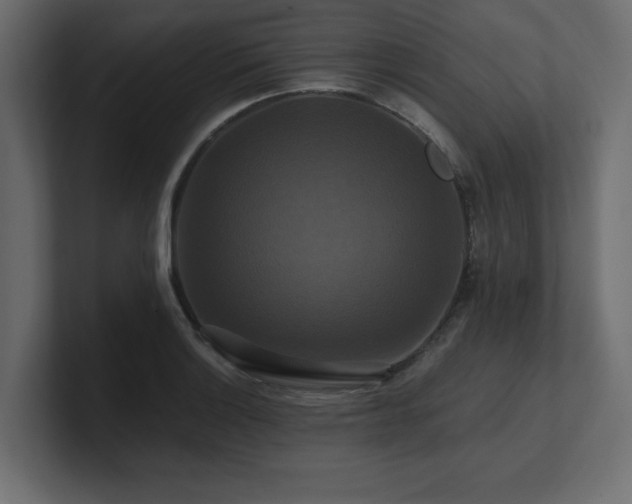 X0000100921132200806241339