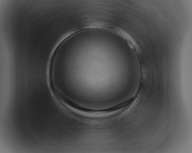 X0000100921138200806241339