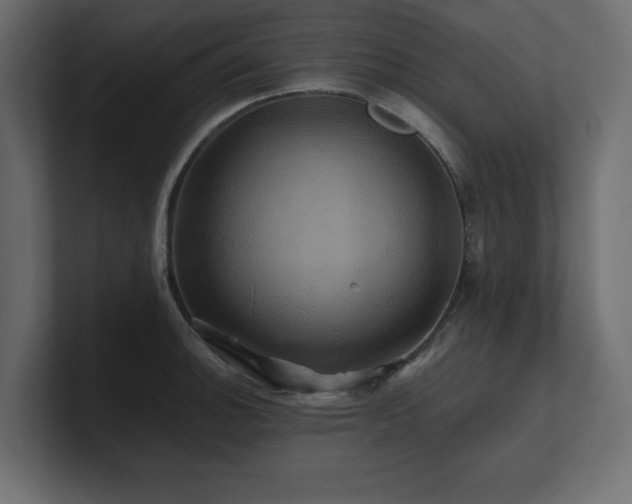 X0000100921140200806241339