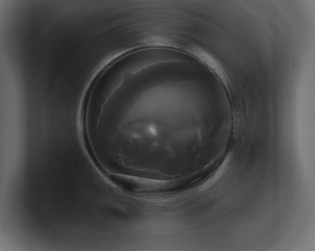 X0000100921141200806241339