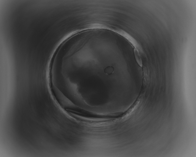 X0000100921142200806241339