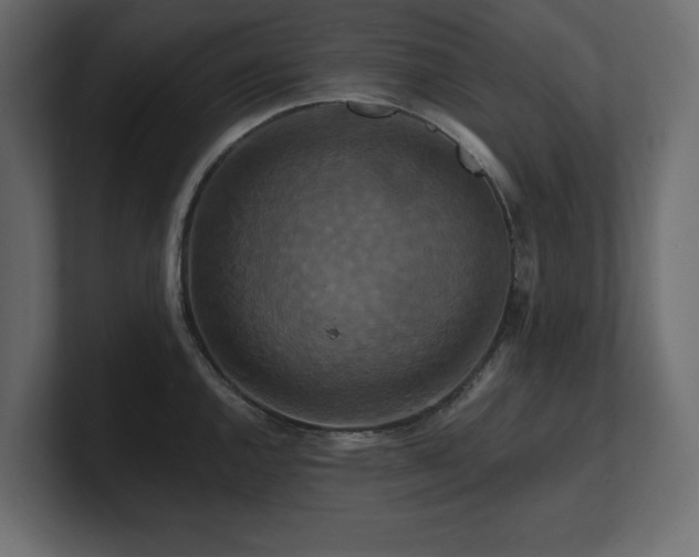X0000100921144200806241339