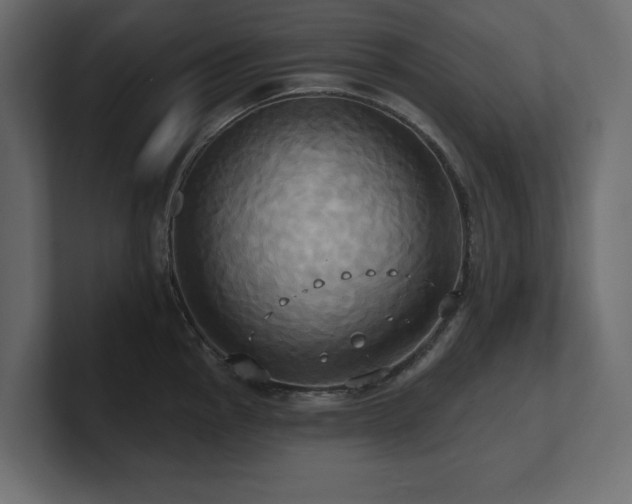 X0000100921145200806241339