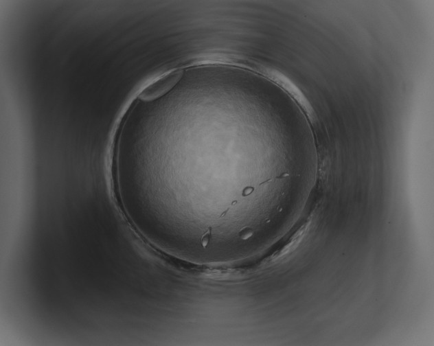 X0000100921146200806241339