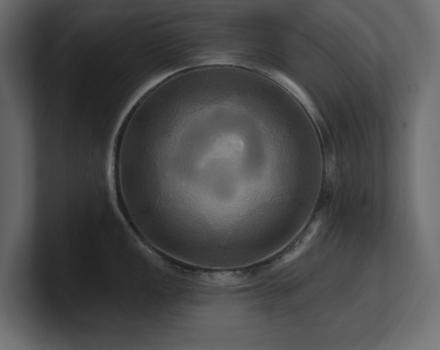 X0000100921149200806241339