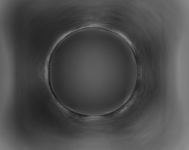 X0000100921151200806241339