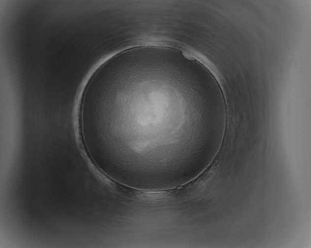 X0000100921152200806241339