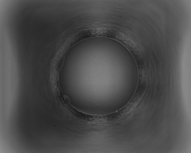 X0000100921153200806241338