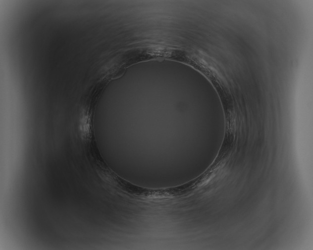 X0000100921154200806241338