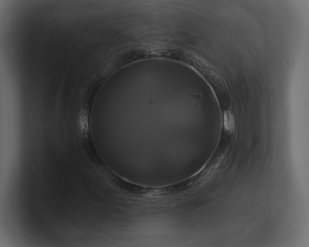 X0000100921155200806241338