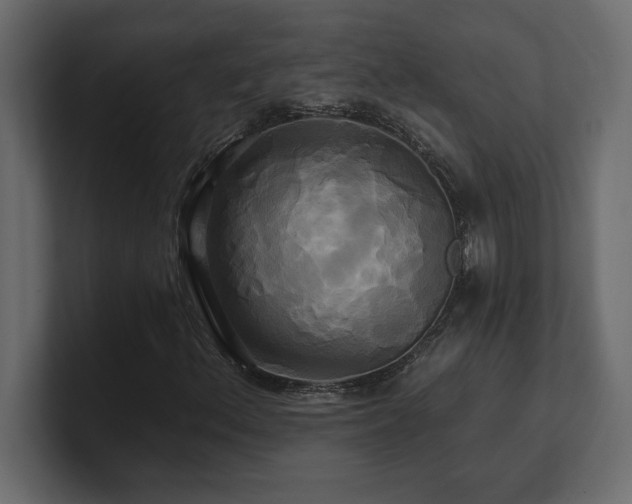 X0000100921156200806241338