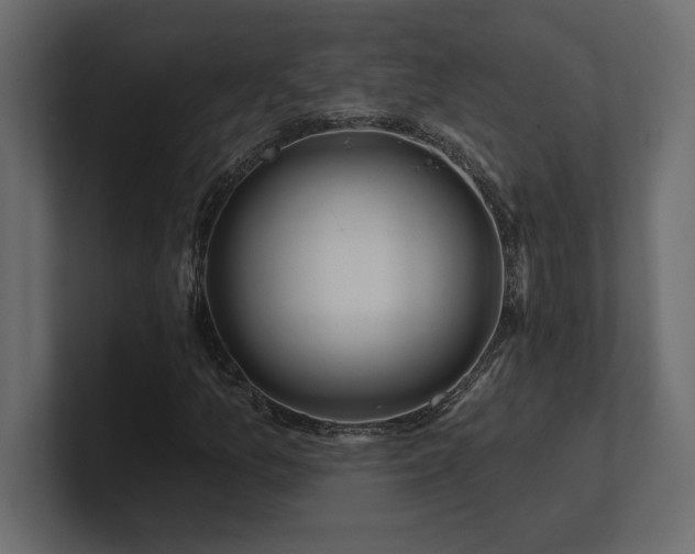 X0000100921157200806241338
