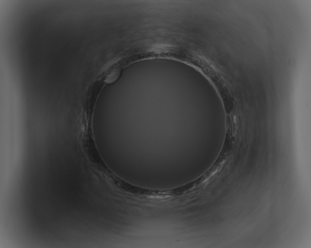 X0000100921158200806241338