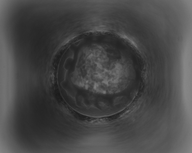 X0000100921159200806241338