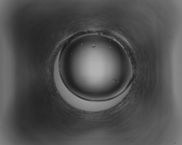 X0000100921160200806241338