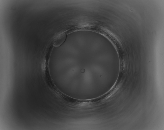 X0000100921161200806241338