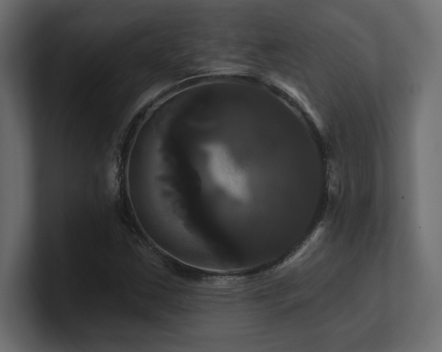 X0000100921163200806241338