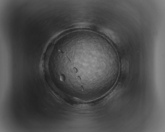 X0000100921164200806241338
