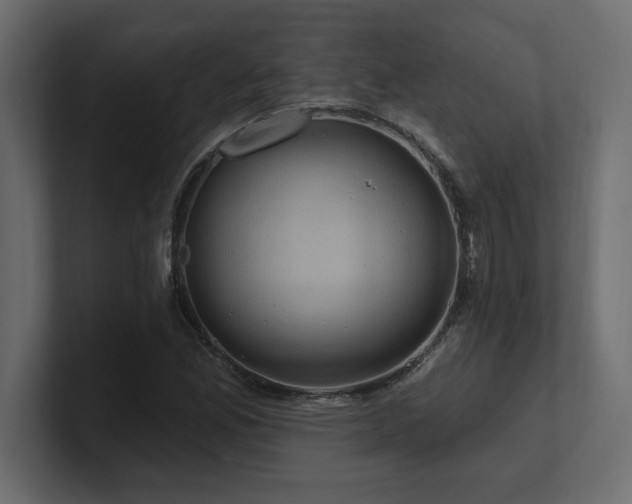 X0000100921165200806241338
