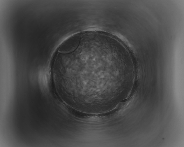 X0000100921167200806241338