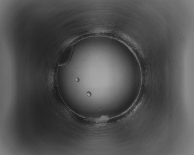 X0000100921169200806241338