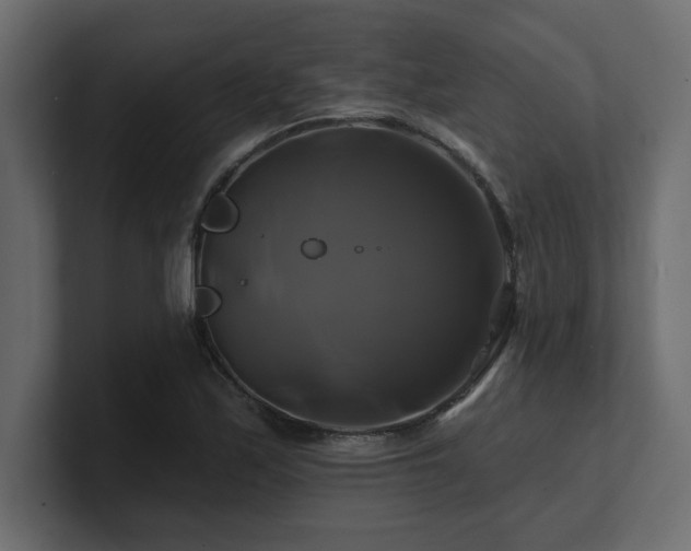 X0000100921171200806241338