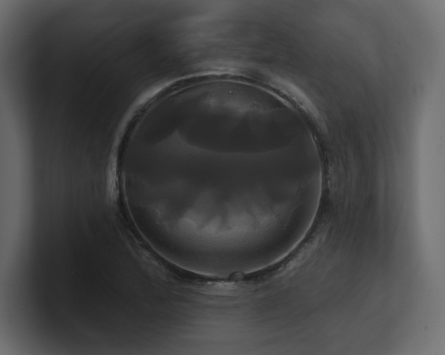 X0000100921172200806241338