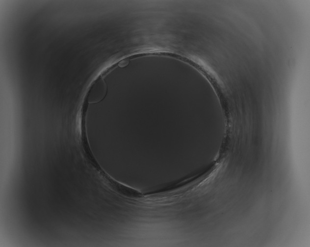 X0000100921173200806241338