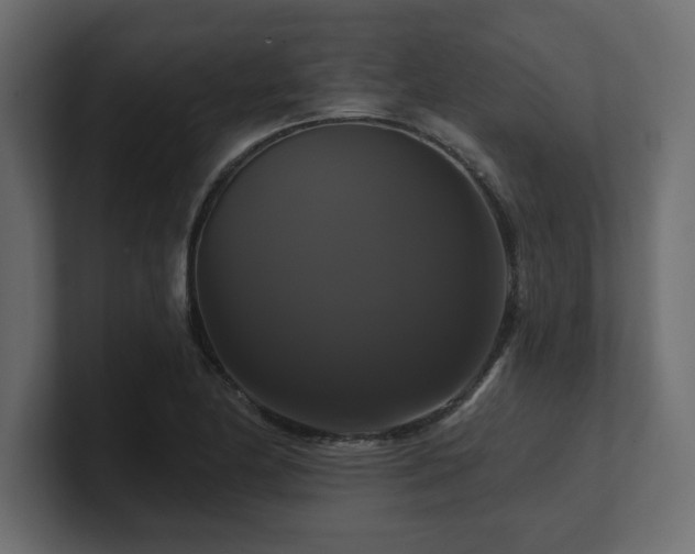 X0000100921174200806241338