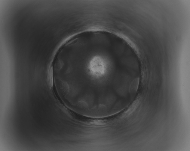 X0000100921175200806241338