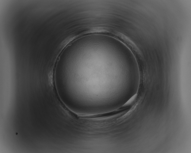X0000100921177200806241338