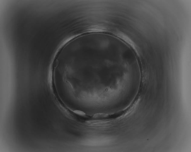 X0000100921179200806241338