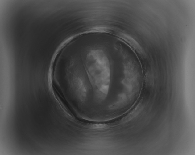 X0000100921180200806241338