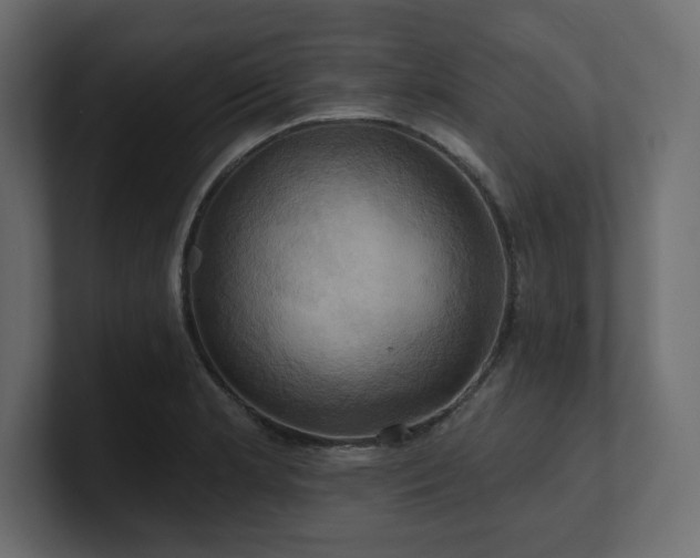 X0000100921181200806241338