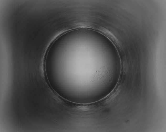 X0000100921182200806241338