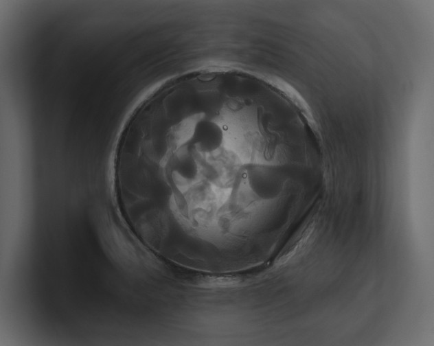 X0000100921183200806241338